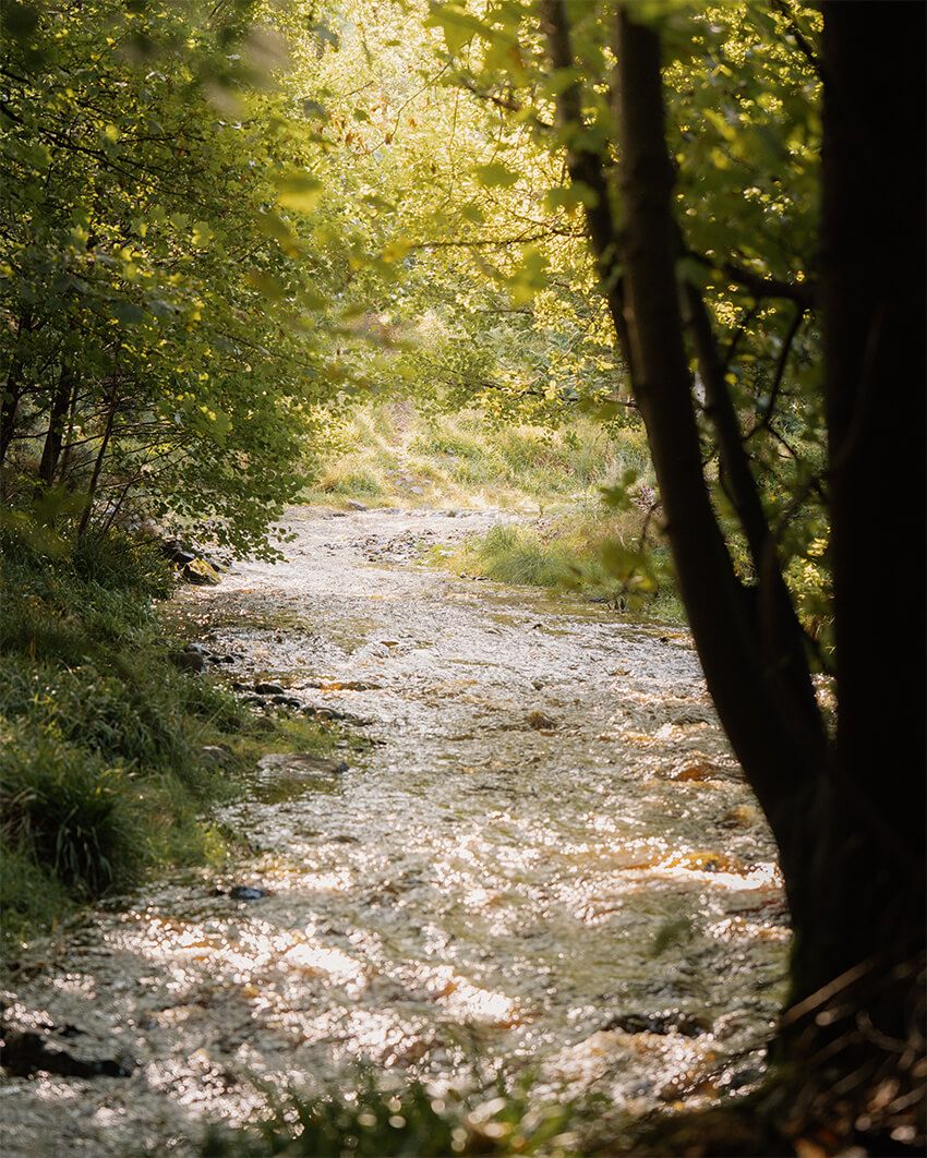 スペイバーン蒸溜所のすぐ横を流れるグランティバーンは、アトランティックサーモンが遡上するほど水質がピュア。