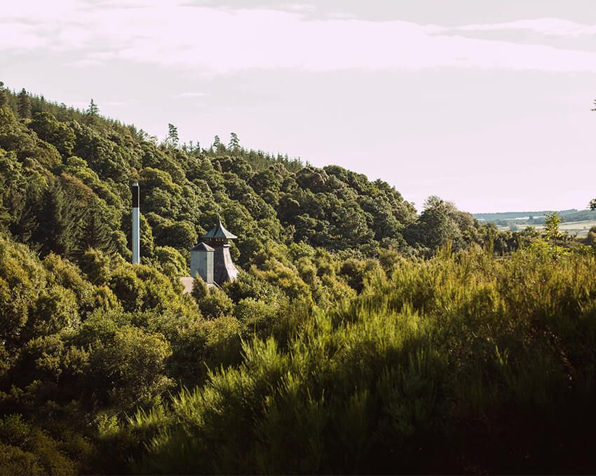 スペイ川の支流であるグランティバーン沿いの自然に溶け込むスペイバーン蒸溜所。