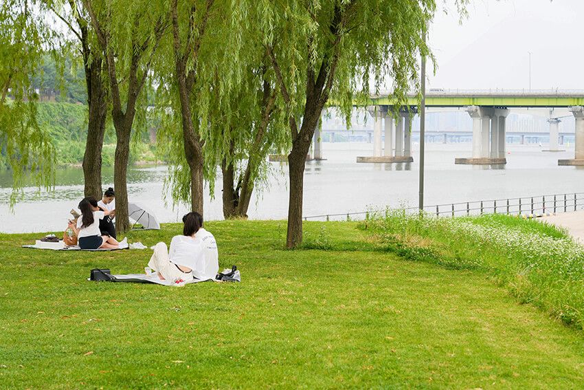 韓国では「ラーメン食べていく？≒ 家に来ない？」。韓流ドラマで根付いた“インスタント麺文化” - 10枚目の画像