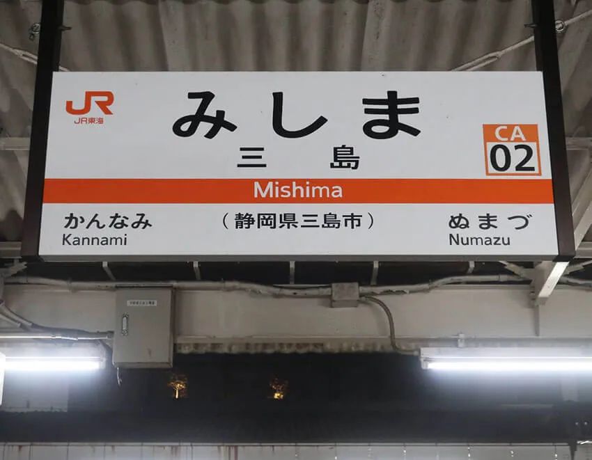 盛岡、高崎、名古屋etc. “地方の神ラーメン店”20選！年間700杯、通算2万杯以上を食す男が厳選 - 19枚目の画像