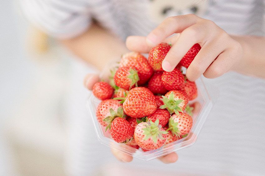 いちごも時季によって種類が変わり、この日は「夏のしずく」「よつぼし」「すず」「はるひ」の4種類を堪能。どれも甘くて美味しいが、糖度や酸味などが微妙に異なるので、ぜひ全種類を食べ比べてみてほしい。あまりの美味しさに、本当に驚くはず。