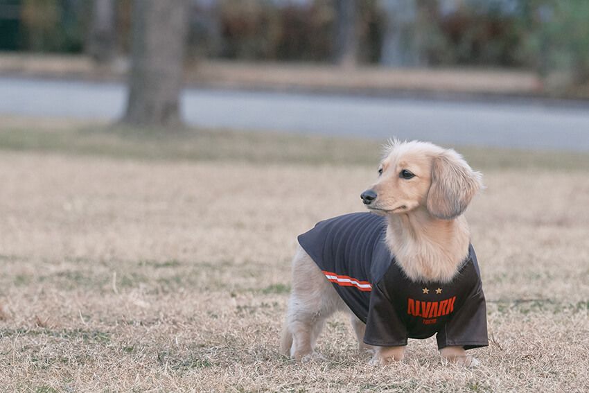 身長188cm、10等身の神スタイル！バスケ界のNo.1モテ男・テーブス海の私服をスナップ - 17枚目の画像