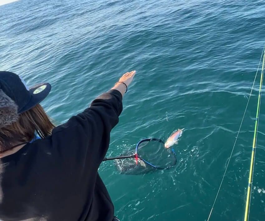 釣り女子フッチーが魅せられた“白い宝石”の正体。大人がハマる高級魚シロアマダイ釣りの魅力 - 9枚目の画像