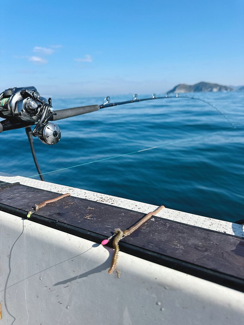 釣り女子フッチーが魅せられた“白い宝石”の正体。大人がハマる高級魚シロアマダイ釣りの魅力 - 4枚目の画像