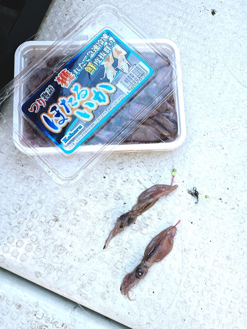 釣り女子フッチーが魅せられた“白い宝石”の正体。大人がハマる高級魚シロアマダイ釣りの魅力 - 6枚目の画像