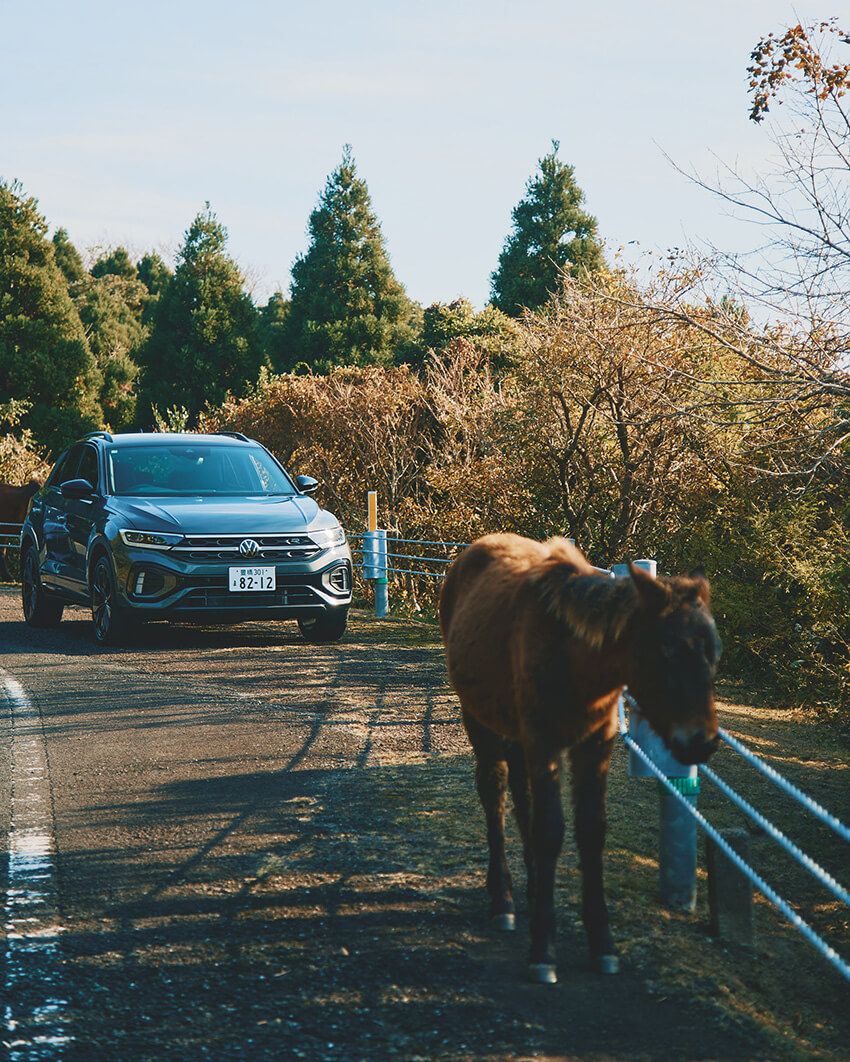フォルクスワーゲンの最新“ゴルフワゴン”を試乗して感じたメリット！やっぱりディーゼル車は魅力的 - 12枚目の画像
