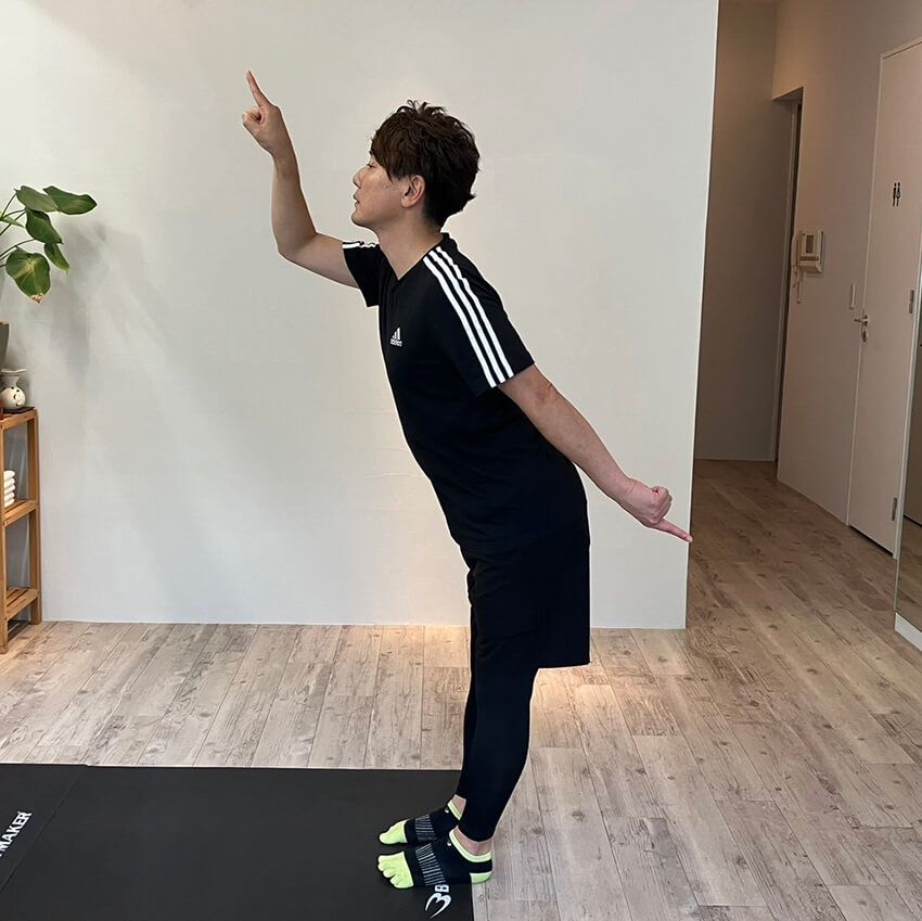 ※顎とお尻の先端を引っ張り合うイメージ