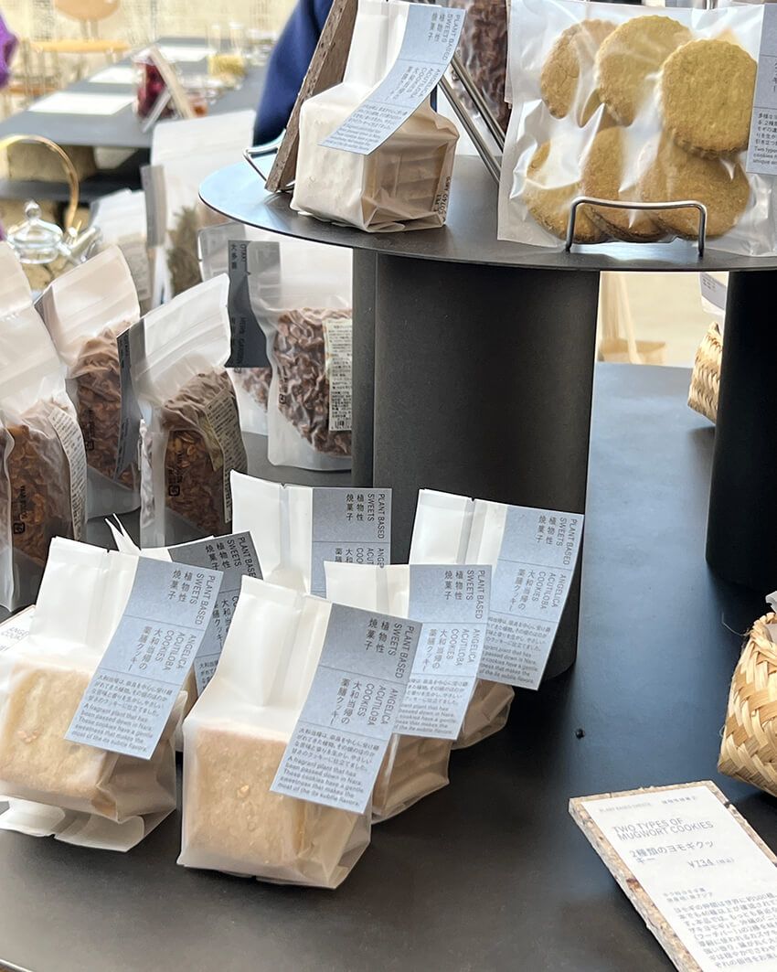 千葉・大多喜に誕生した“植物と暮らす庭”。有用植物を体験する新スポットを徹底解剖した！ - 1枚目の画像