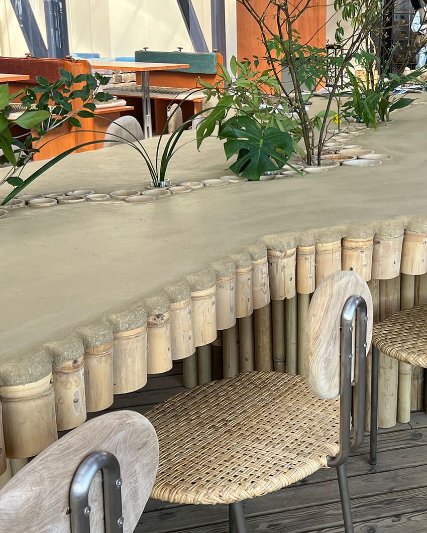 千葉・大多喜に誕生した“植物と暮らす庭”。有用植物を体験する新スポットを徹底解剖した！ - 2枚目の画像