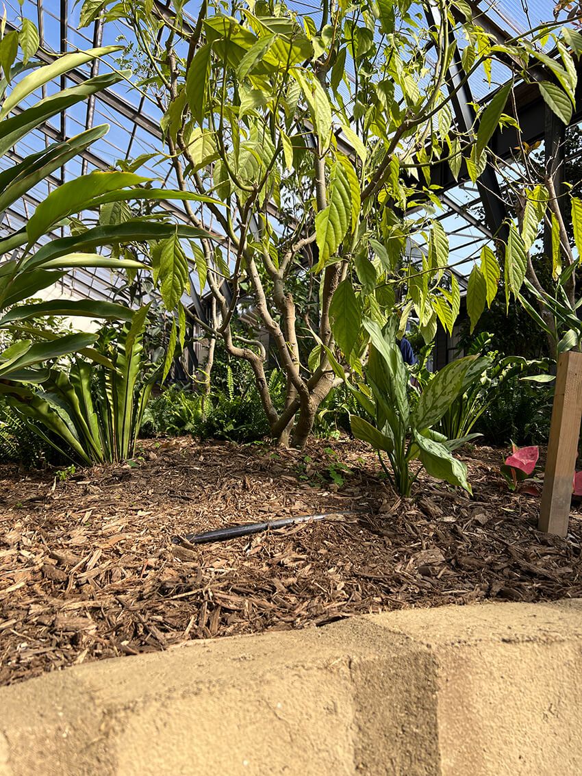 千葉・大多喜に誕生した“植物と暮らす庭”。有用植物を体験する新スポットを徹底解剖した！ - 5枚目の画像