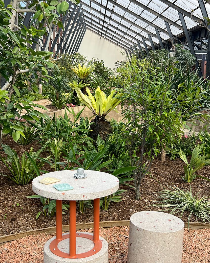 千葉・大多喜に誕生した“植物と暮らす庭”。有用植物を体験する新スポットを徹底解剖した！ - 14枚目の画像