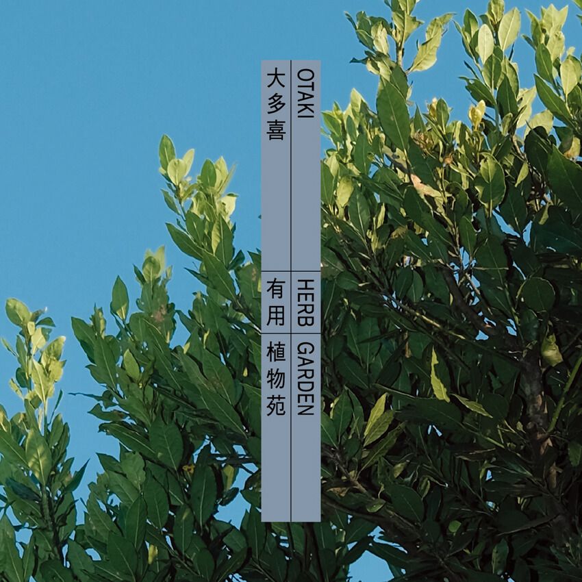 千葉・大多喜に誕生した“植物と暮らす庭”。有用植物を体験する新スポットを徹底解剖した！ - 17枚目の画像