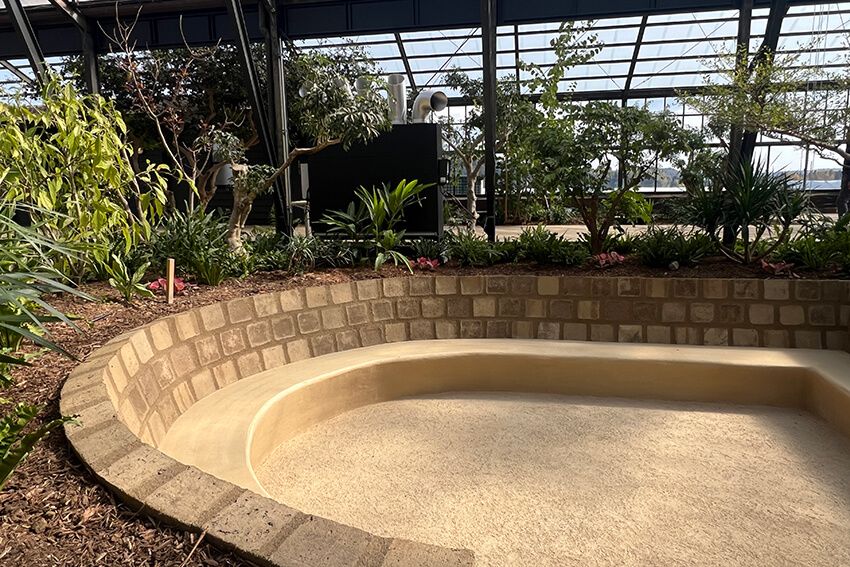 植物と同じ目線に立てる堀。季節の移ろいに応じて変わる姿も、楽しみである。