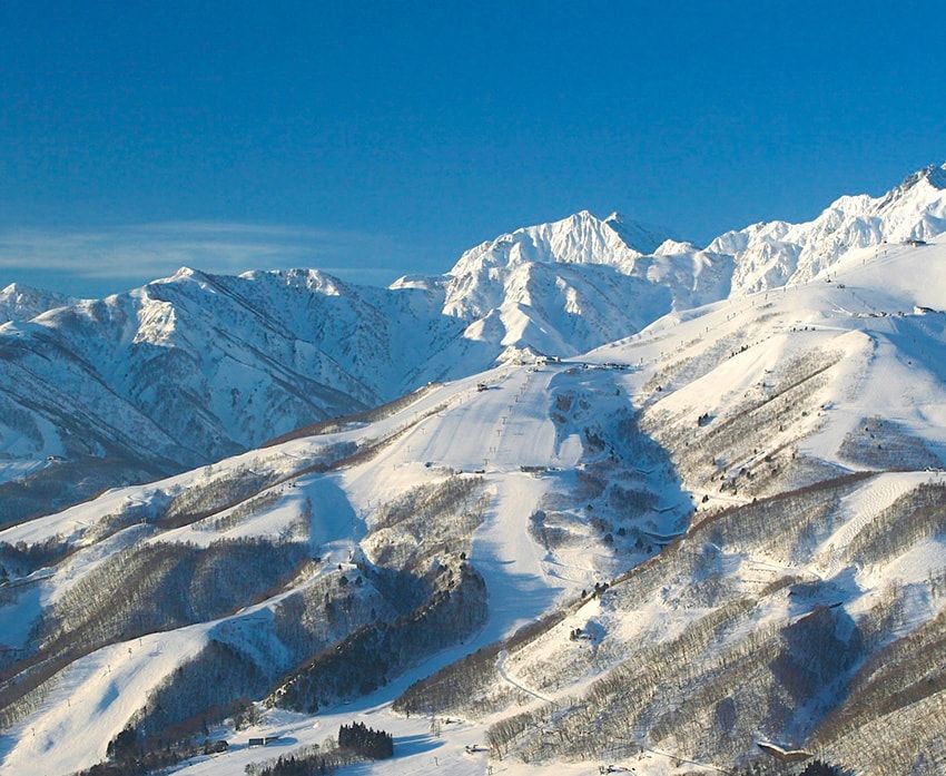 “雪”肌精という名の通り雪への思いは深く「SAVE the BLUE」の冬バージョンを始動。