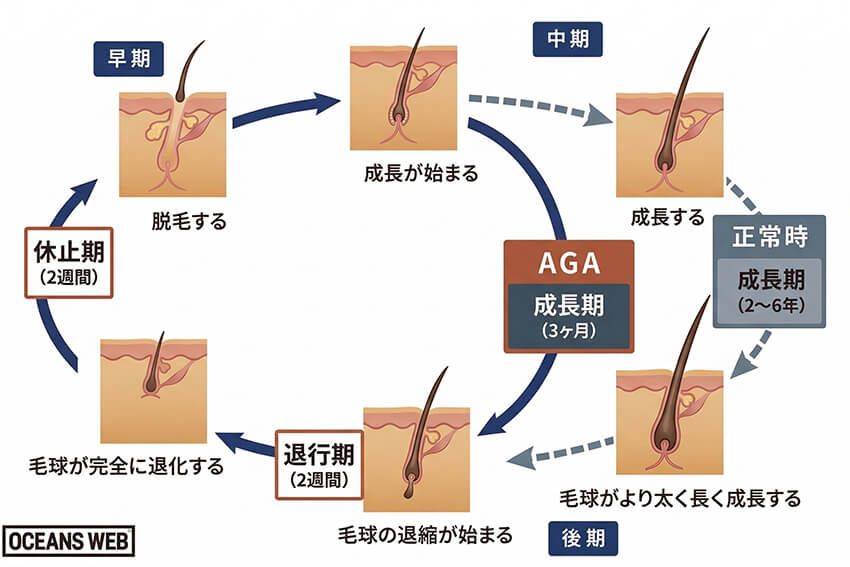 ※生成AIで作成