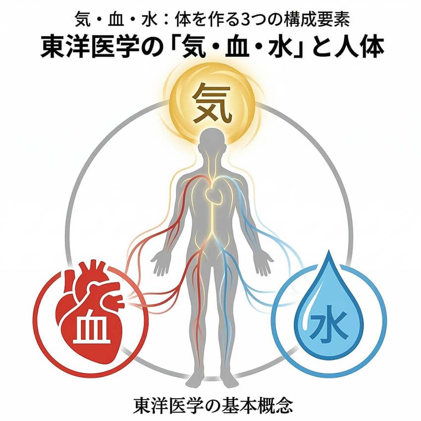 ポイントは“股間”。40代、腹回りの「浮き輪肉」を狙い撃つ“恥骨筋”ほぐしの効果効能 - 6枚目の画像