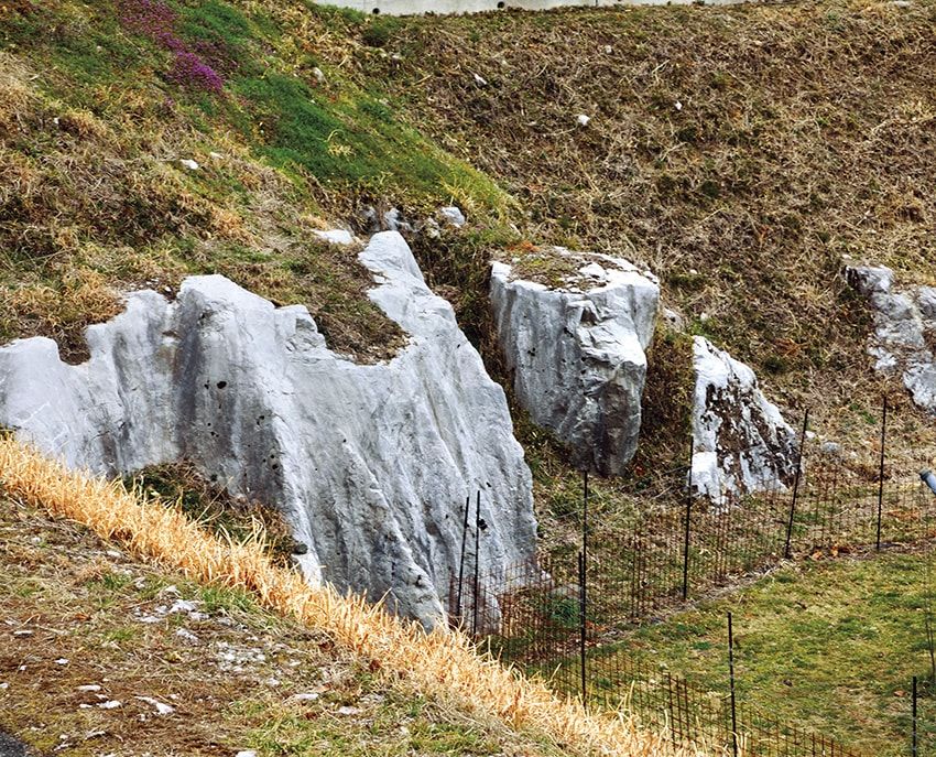 剥き出しの石灰岩層。日本でこれほど豊かな石灰岩土壌でぶどうを栽培するワイナリーは、そうそうない。