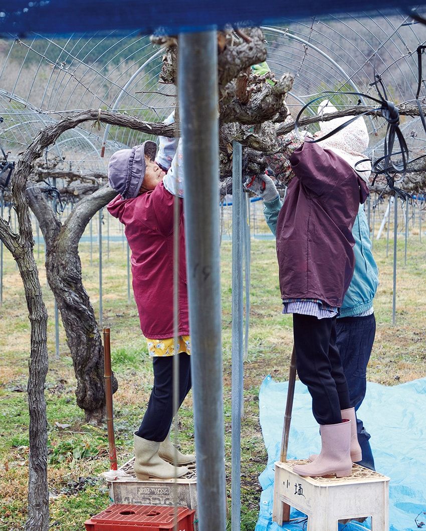 ワインにチーズ、味噌。岡山の土地が生んだ“発酵”プロダクトのNEW WAVE - 15枚目の画像
