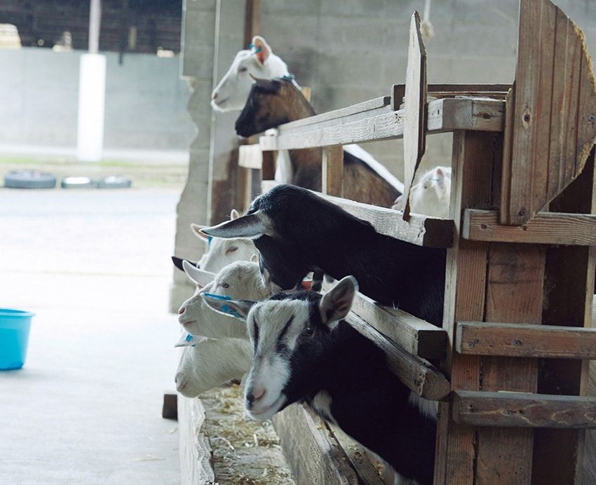 ワインにチーズ、味噌。岡山の土地が生んだ“発酵”プロダクトのNEW WAVE - 25枚目の画像