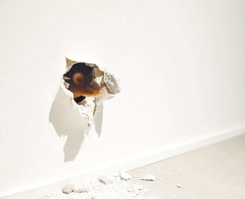 ネズミの作品はライアンの代表作。壁の穴から現れるネズミが、妙に哲学的なメッセージを語りかける。その声はライアンの娘が担当した。