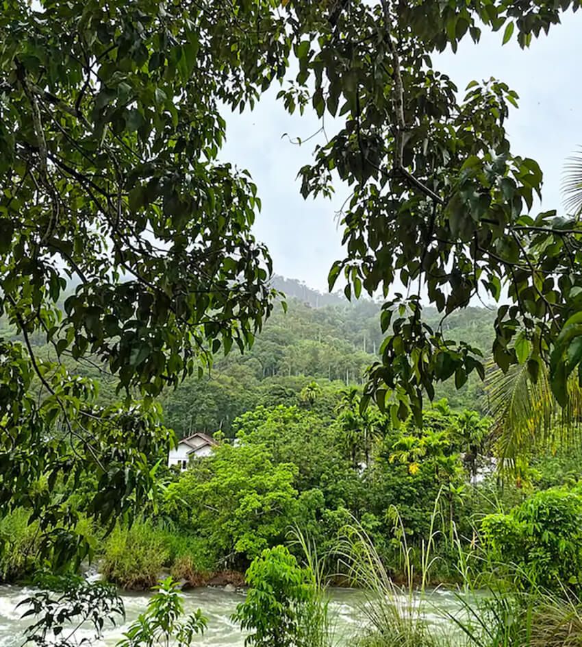 「2026年ロレックス賞」受賞者を発表。環境と社会課題に挑む5名の女性たちの功績 - 1枚目の画像