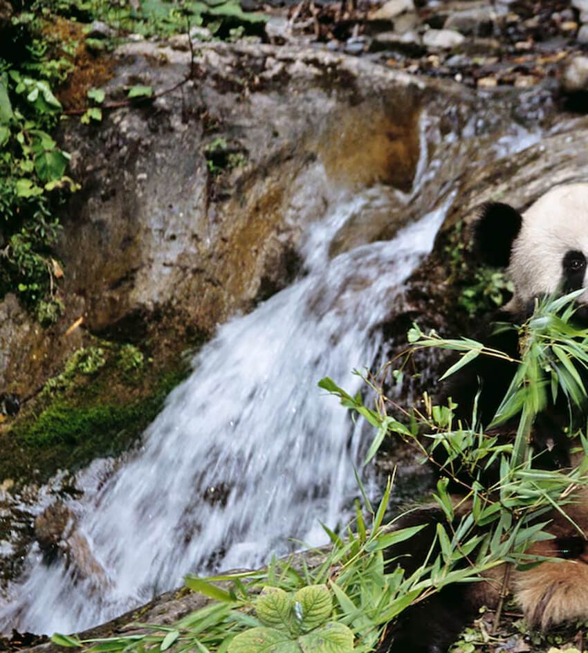 「2026年ロレックス賞」受賞者を発表。環境と社会課題に挑む5名の女性たちの功績 - 2枚目の画像