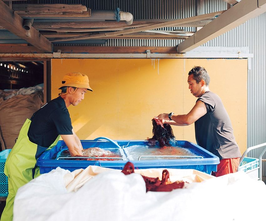 「パタゴニア」は製品でも海を守る。廃漁網がつなぐ、海との新しい関係 - 6枚目の画像