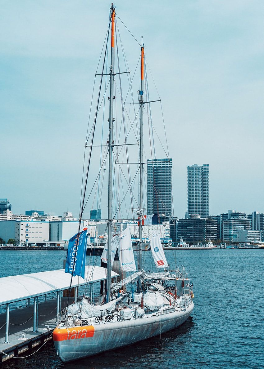アニエスべーの「タラ号」が8年ぶりに日本寄港。海と社会をつなぐ探査船の全貌 - 11枚目の画像