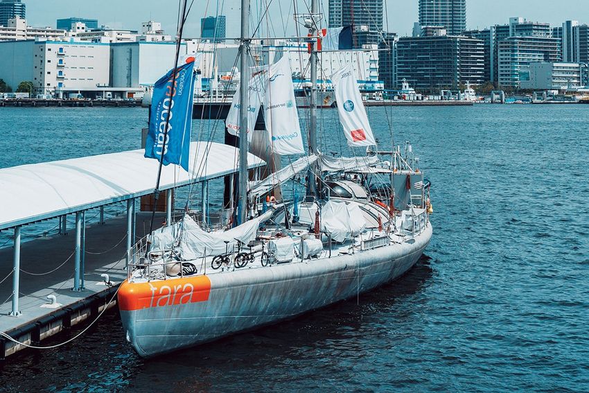 アニエスべーの「タラ号」が8年ぶりに日本寄港。海と社会をつなぐ探査船の全貌