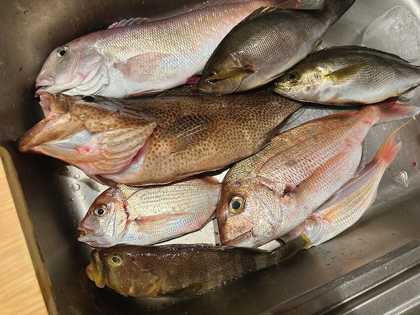まるで海のガチャ!? 人気釣り女子フッチーが教える“落として巻くだけ”タイラバの魔力 - 9枚目の画像