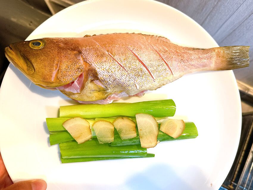 まるで海のガチャ!? 人気釣り女子フッチーが教える“落として巻くだけ”タイラバの魔力 - 23枚目の画像