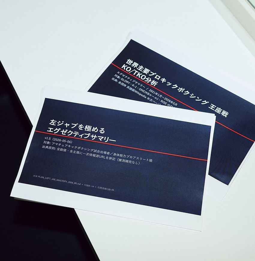 AIを駆使して分析したというキックボクシングに関するサマリー。「左ジャブだけで300ページの論文が書けます」。