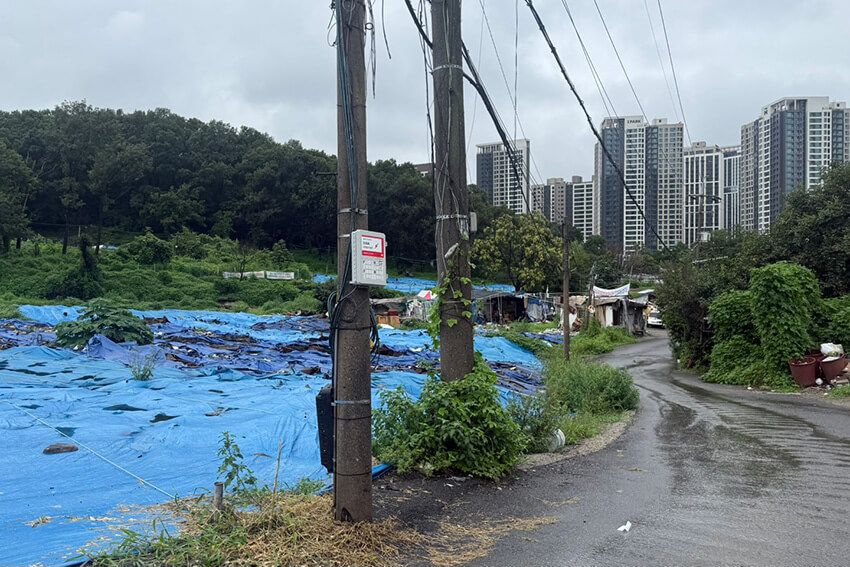 2026年1月の大火災後の九龍村の光景。