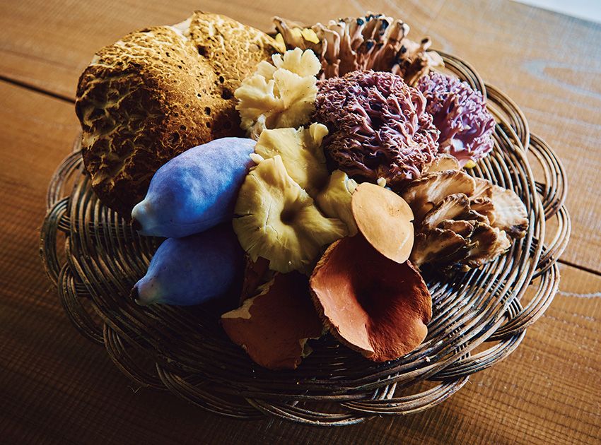 この日、山から届いた食材。大きな傘をもつヤマドリタケをはじめ、アケビやホウキタケなど、色も形も実にさまざま。野趣に富んだその姿からも、山の食材の豊かさが伝わってくる。