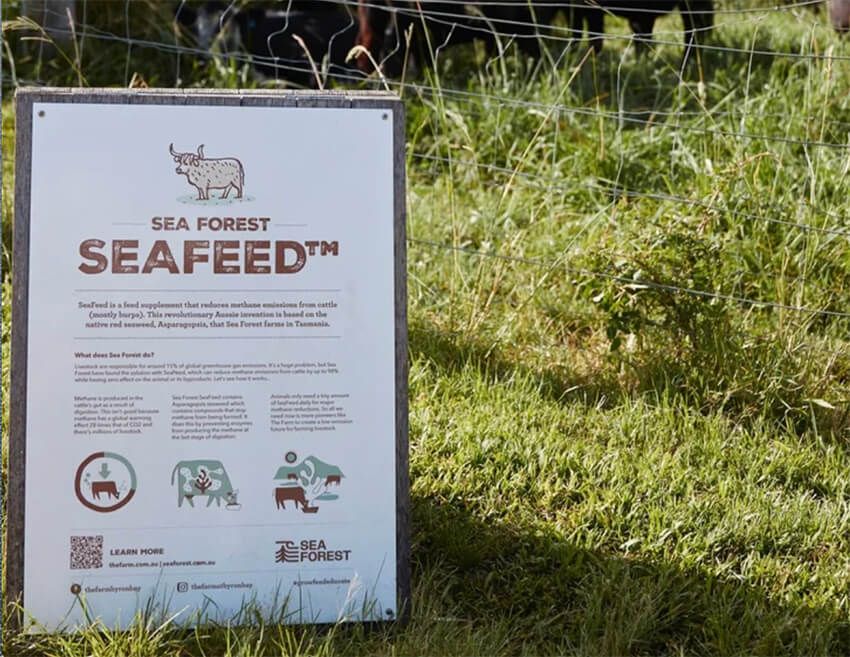 SeaFeed™︎を用いた飼育を行なっていることを標榜する企業も増えているという。