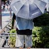 エビセンスケートボードのベストコーディネート | 260731-1344-21 星野 淳 5枚目の写真