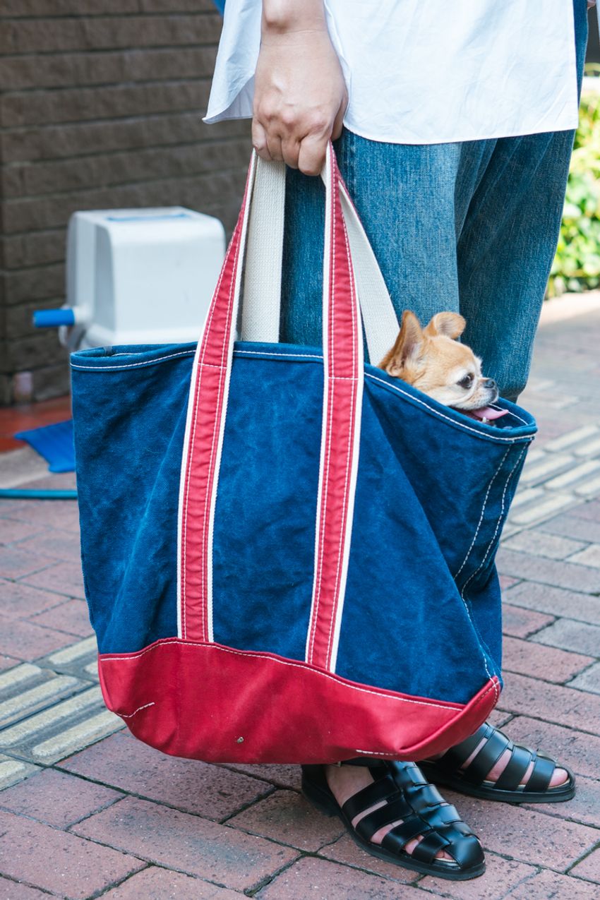 「白シャツ×デニム」の定番コーデに街の人はどんな味付けをした？参考になるテクニック集 - 7枚目の画像