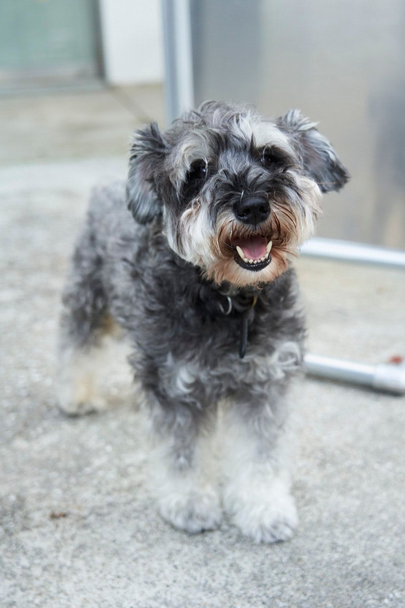 サベージのTシャツコーディネート | 250815-1118-18 リョウタ 7枚目の写真